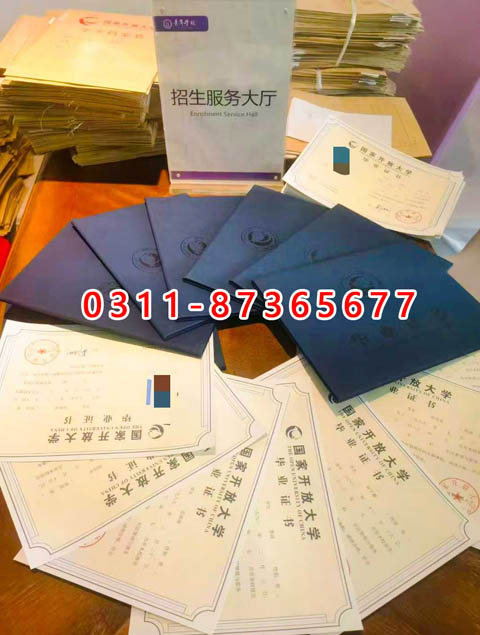 學信網上都能查詢什么學歷呢？